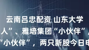 云南吕忠配资 山东大学旗下“小巨人”、雅培集团“小伙伴”，两只新股今日申购