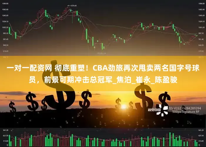 一对一配资网 彻底重塑！CBA劲旅再次甩卖两名国字号球员，前景可期冲击总冠军_焦泊_崔永_陈盈骏