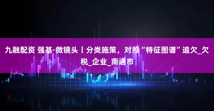 九融配资 强基·微镜头丨分类施策，对照“特征图谱”追欠_欠税_企业_南通市