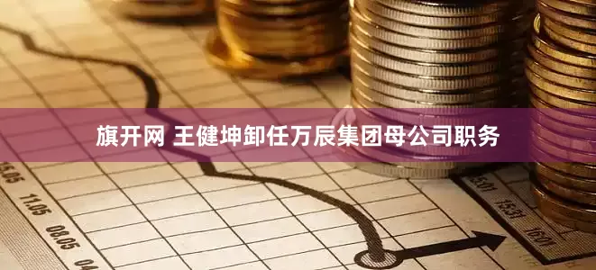旗开网 王健坤卸任万辰集团母公司职务